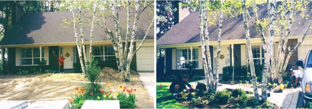 Before & After- Green Thumb Landscaping