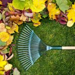 The Benefits of Seasonal Cleanup - Rake on a wooden stick and Colored autumn foliage.