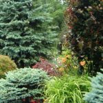 Beautiful side garden with perennials & trees