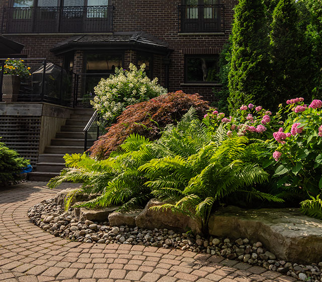 Seasonal Cleanup in Mississauga