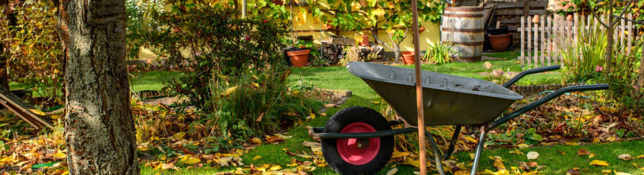 Get Your Garden Ready For Winter - Green Thumb Landscaping