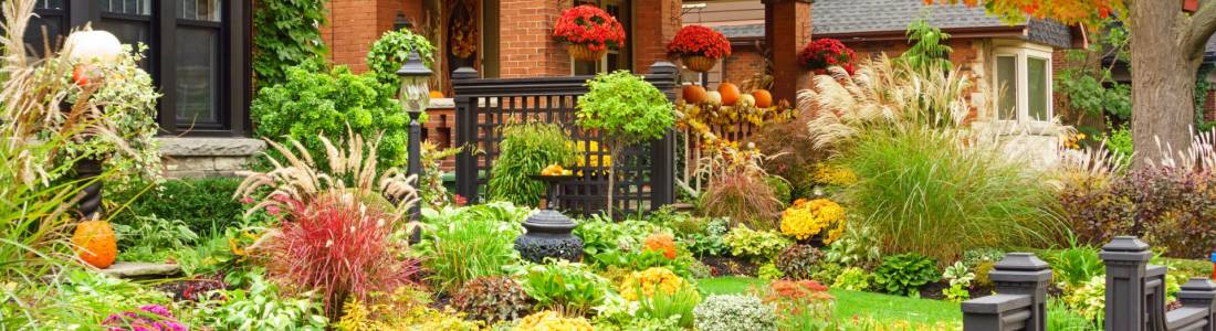 How To Make Your Fall Gardens Colourful! | Green Thumb Landscaping